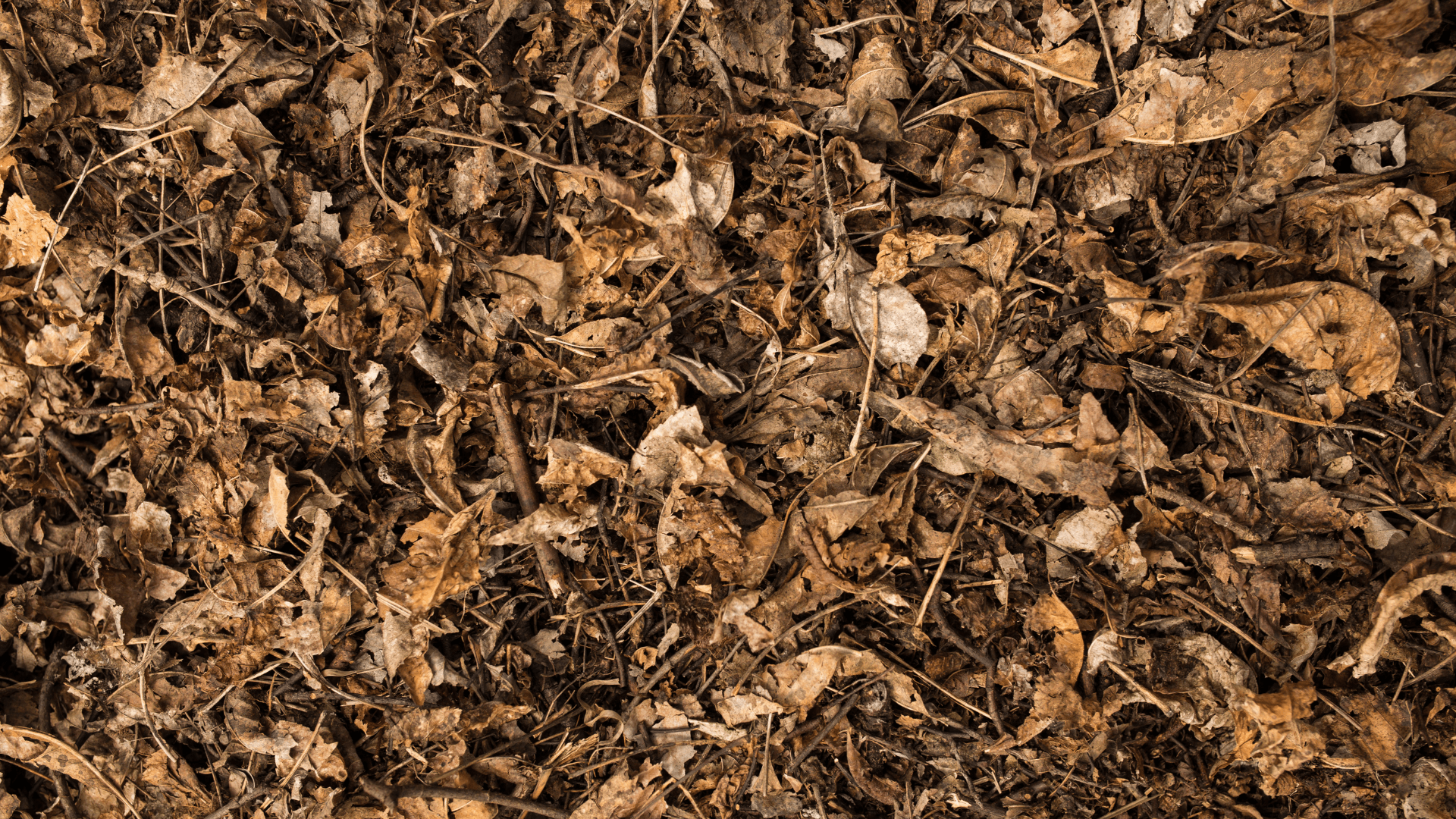 mulching