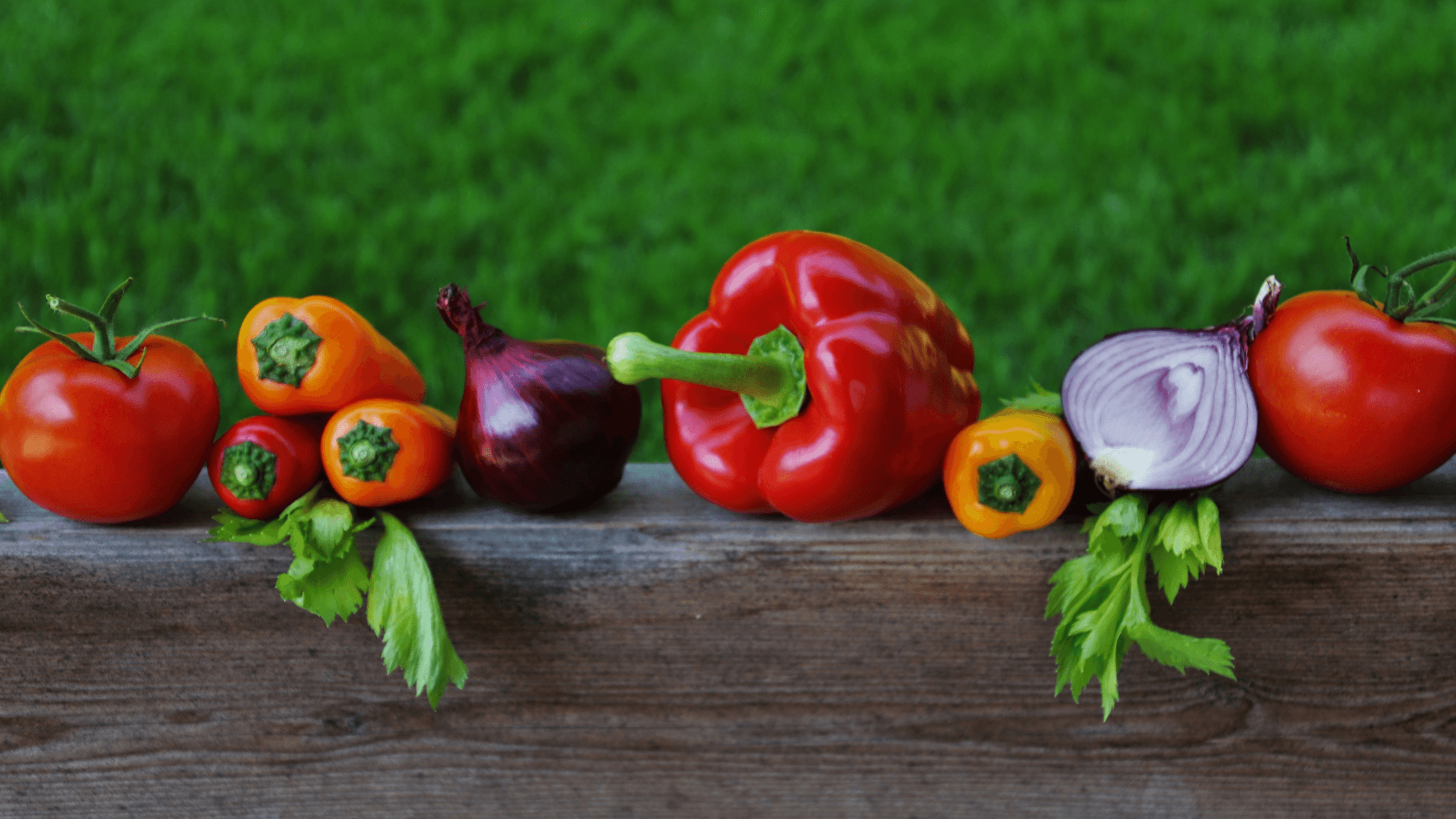 como escolher culturas para a horta