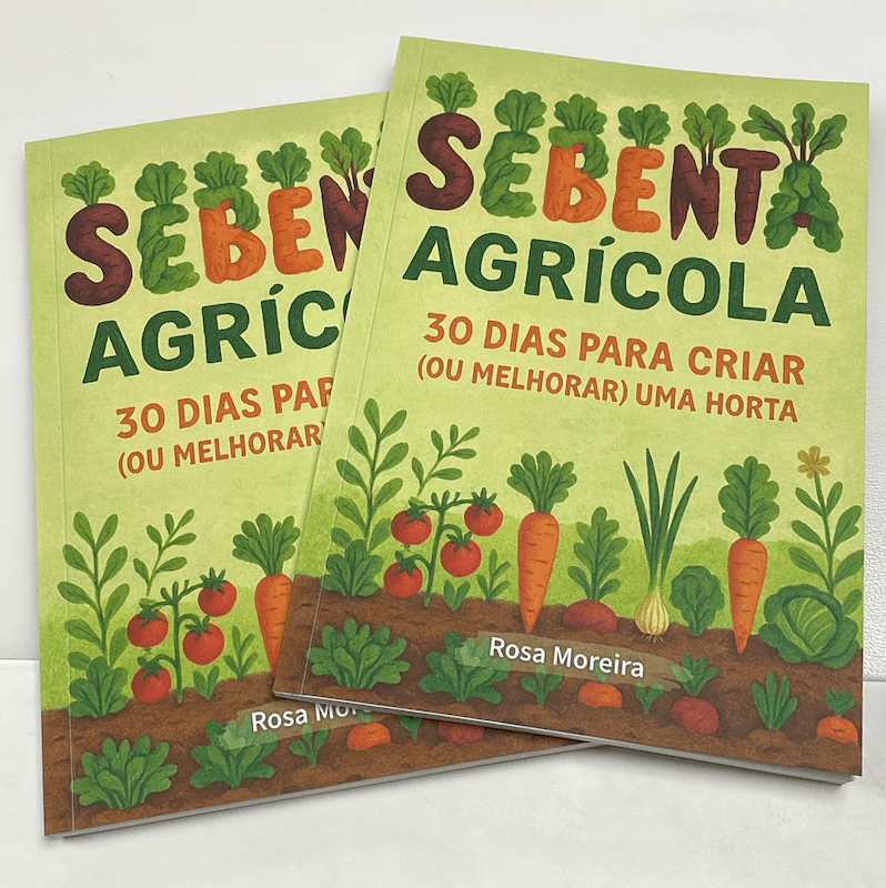 Sementeiras fáceis para iniciantes