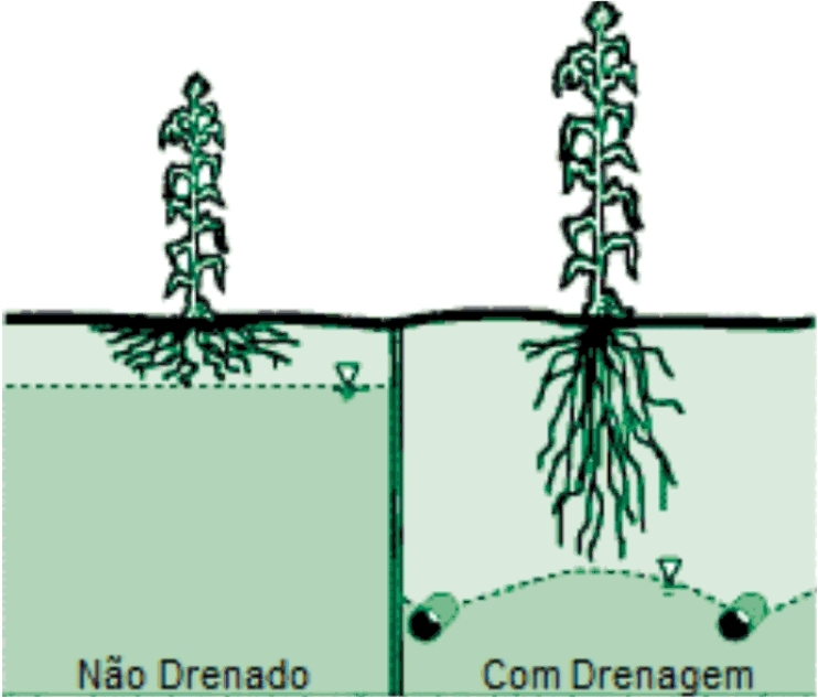 drenagem do solo como fazer agricultura