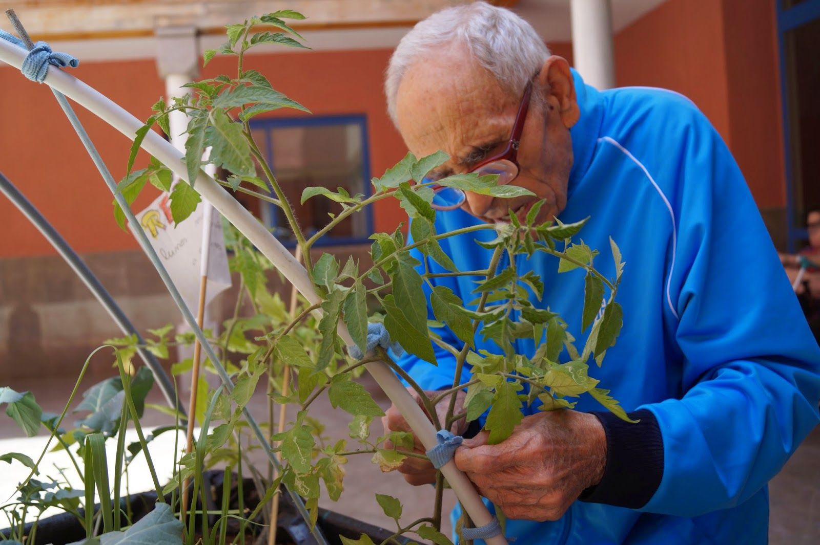 horticultura social e terapeutica