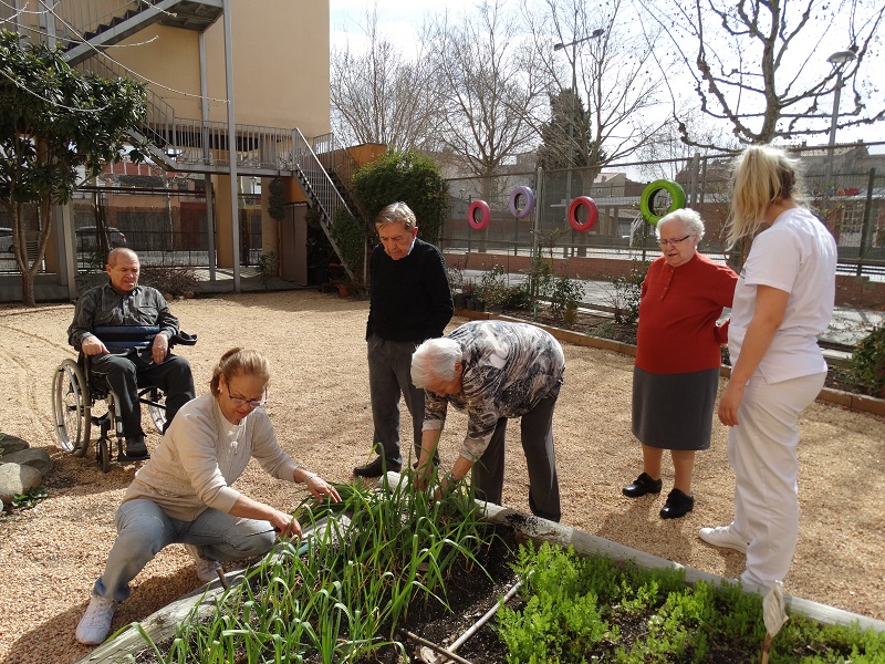 horticultura terapeutica pdf