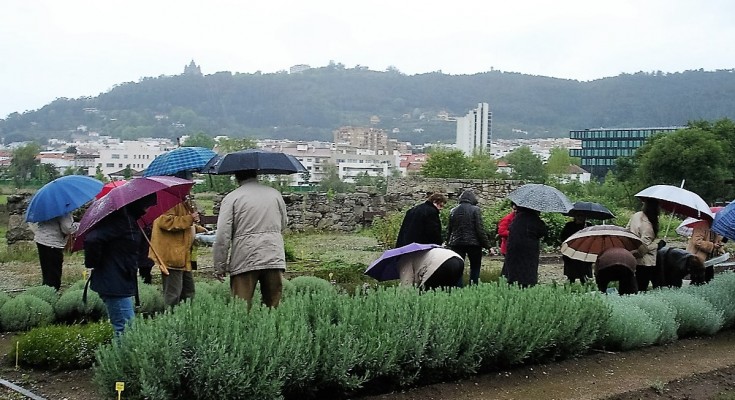 horticultura terapeutica pdf