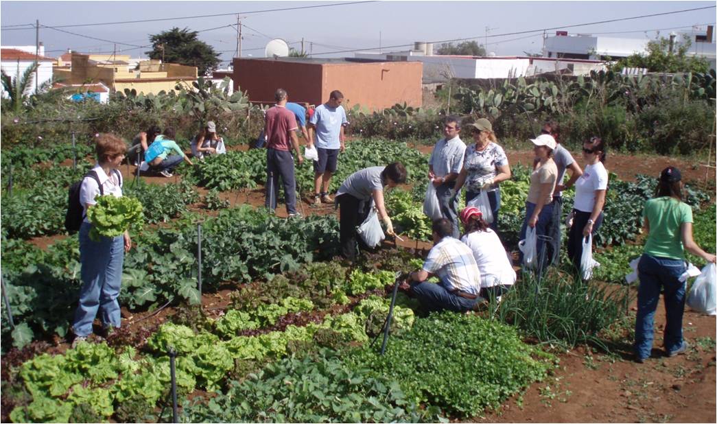 horticultura terapeutica pdf