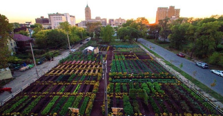 agricultura urbana ecologica