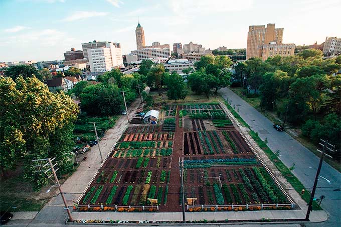 agricultura urbana conceito