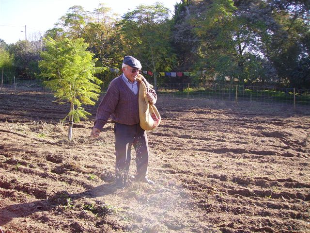 como semear grama no jardim