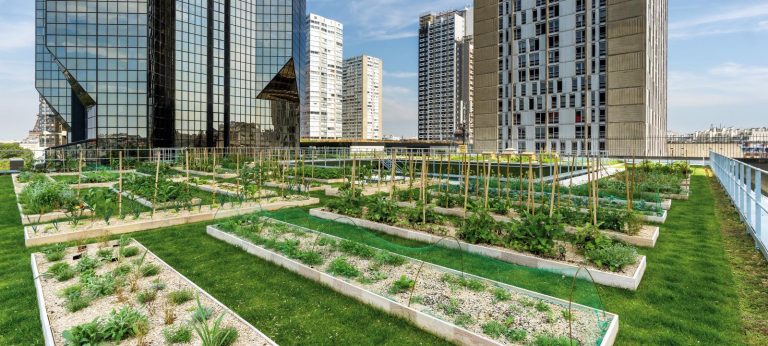 Sabe em que consiste a agricultura urbana? Este artigo pode ajudar a entender!