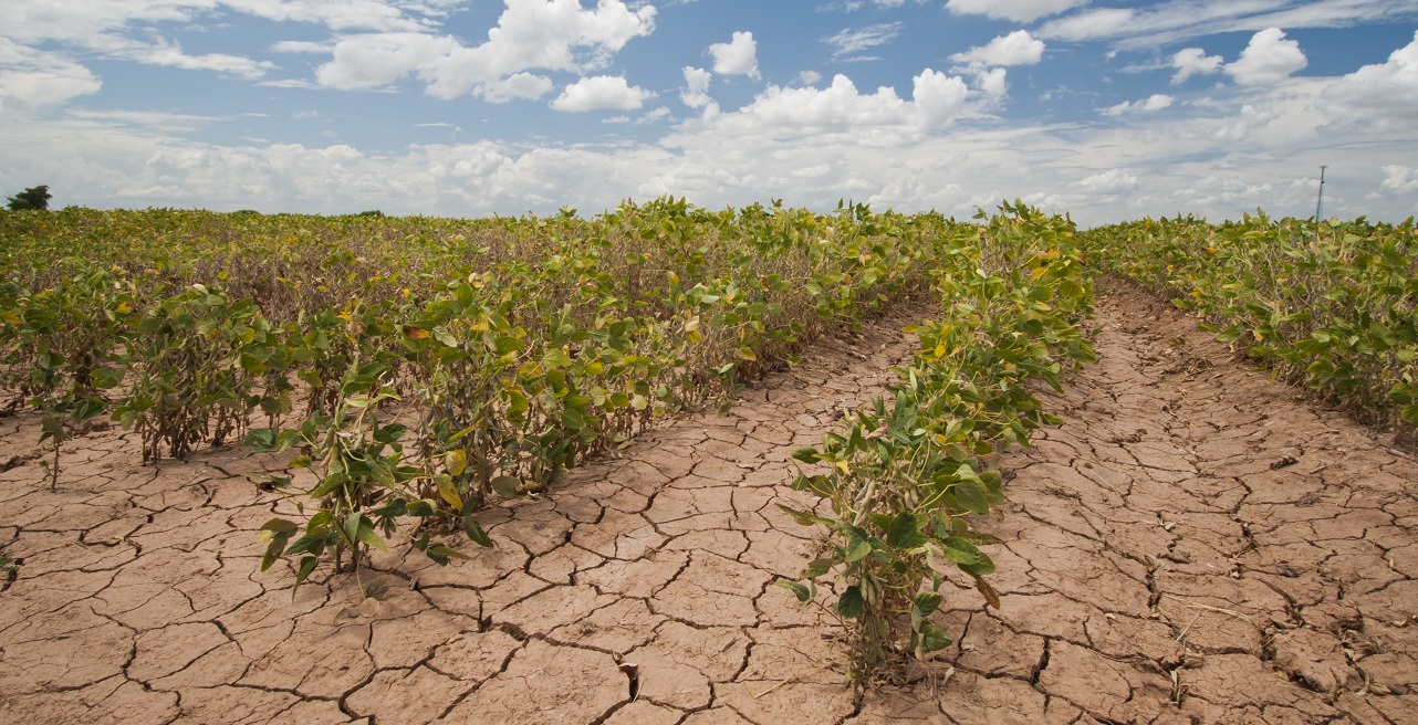 alterações climáticas agricultura desenvolvimento sustentável