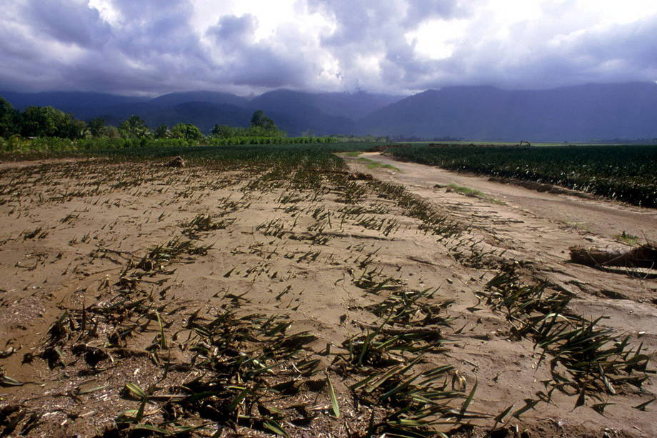 alterações climáticas e agricultura desenvolvimento sustentável