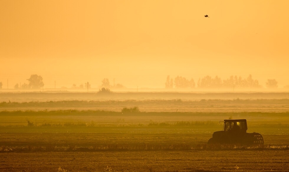 alterações climáticas na agricultura cap desenvolvimento sustentável