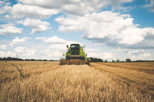 impactos das alterações climáticas na agricultura desenvolvimento sustentável