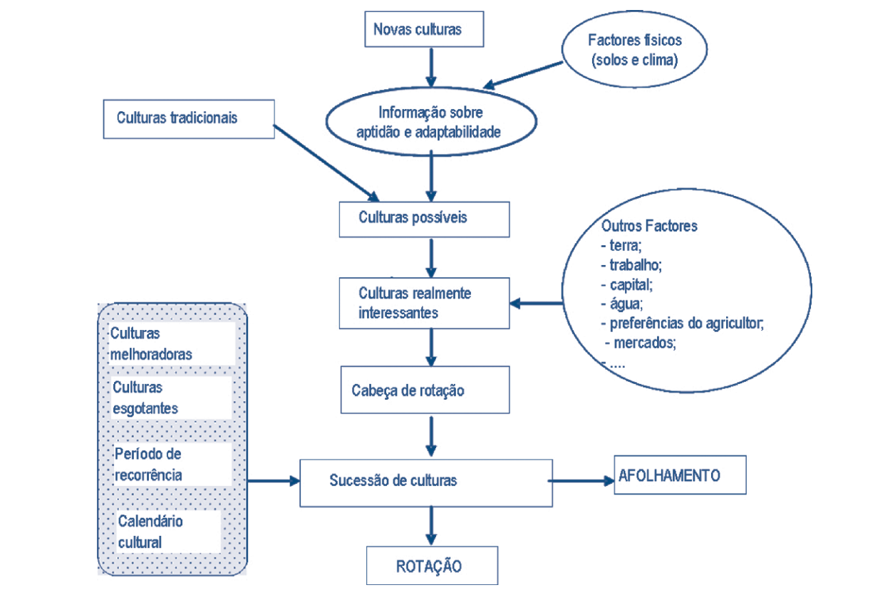 sistema de culturas