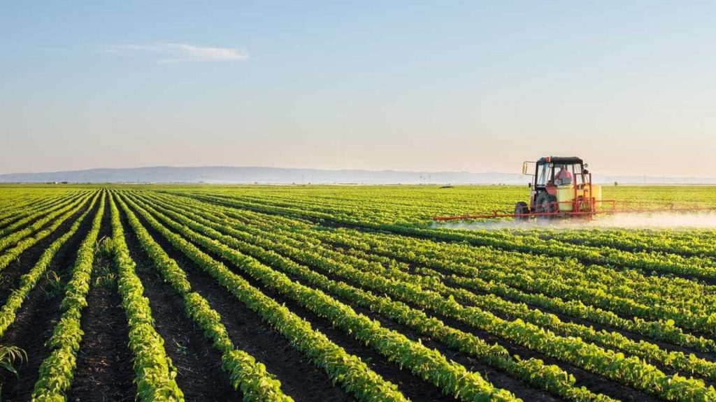 Os Passos Fundamentais Para Gerir A Sua Exploração Agrícola A Cientista Agrícola 