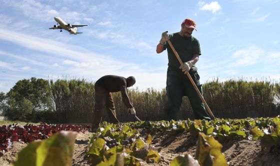 OFERTA DE EMPREGO: Chefes de equipa para a Área Agrícola 