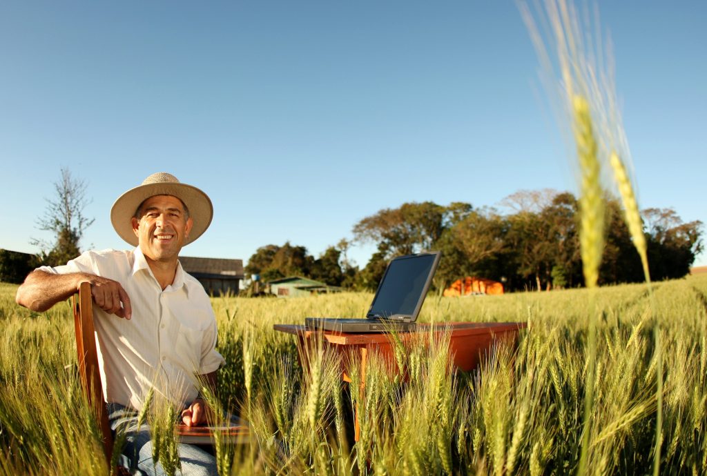 5 Razões Para Investir Na Gestão Agrícola Da Sua Exploração A Cientista Agrícola 