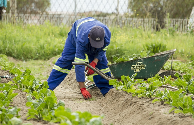 green care professional