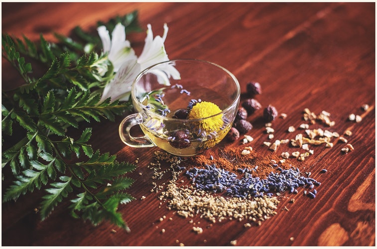 Chá, infusão, tisana ou blend: Sabe quais são as diferenças?
