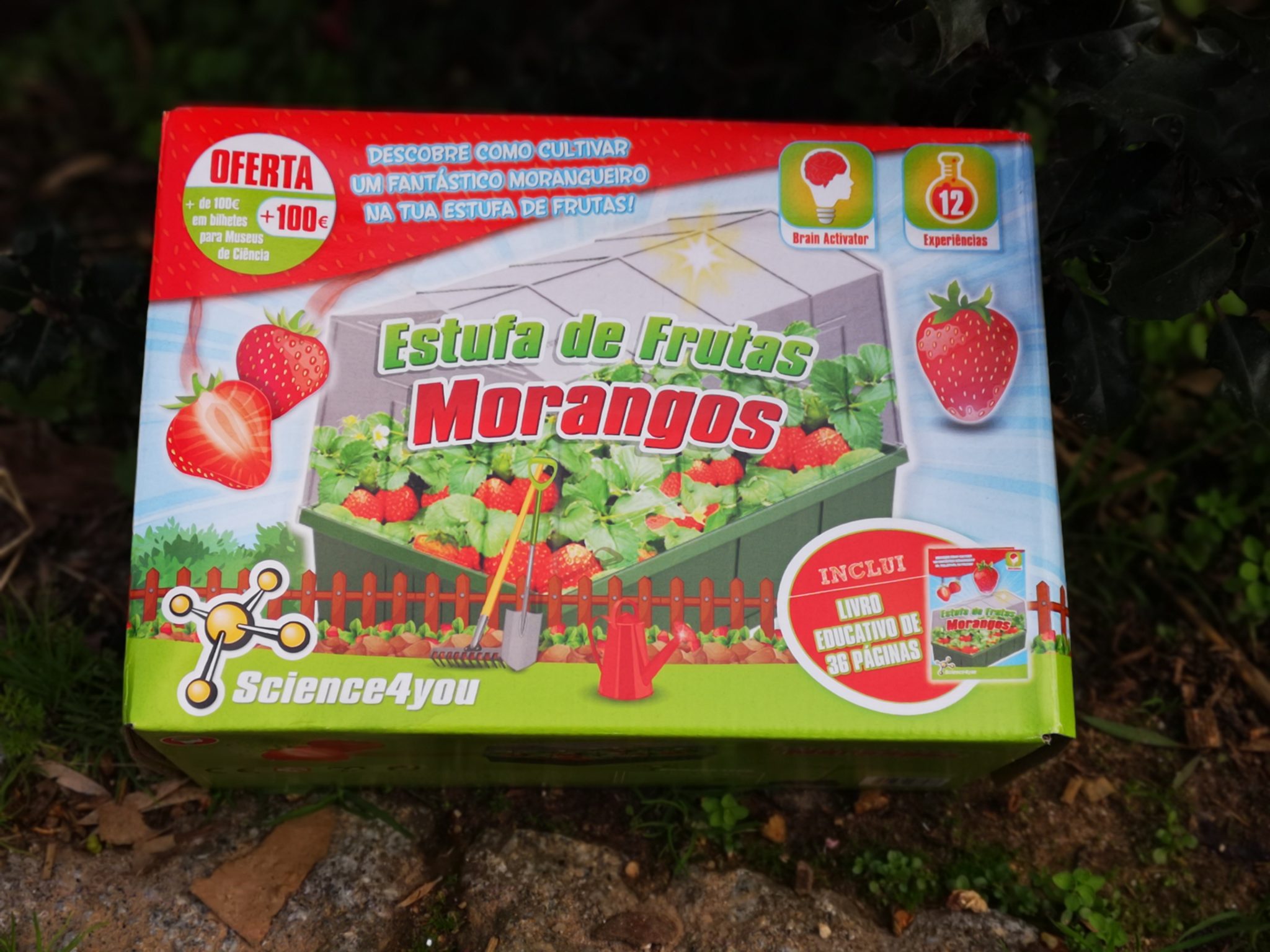 Unboxing Science4you: recebi uma estufa de frutas de morangos