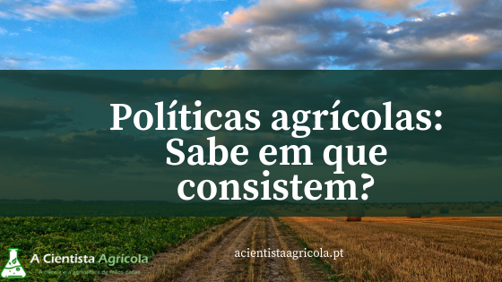 Políticas agrícolas: conceitos, apoios e programas que deve conhecer