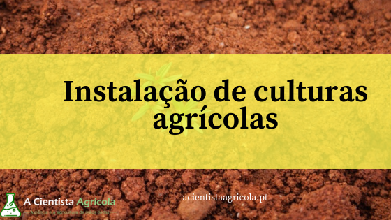 4 passos simples para aprender a instalar uma cultura agrícola