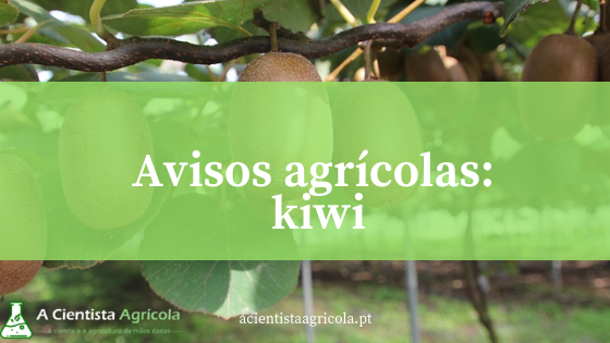 Aprenda a combater as pragas e doenças da cultura do kiwi