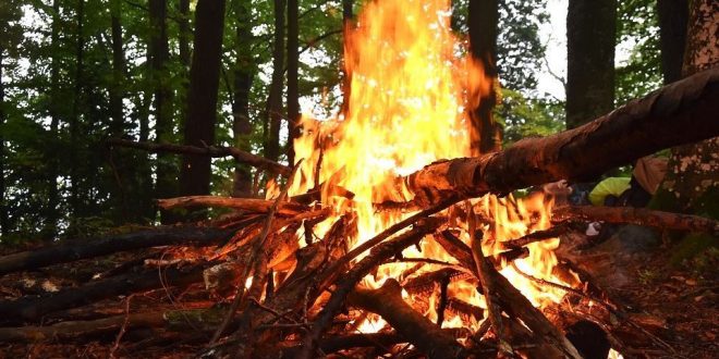 Fogos florestais: mudanças implementadas em Portugal após os trágicos incêndios de 2017 em análise na Universidade de Coimbra￼