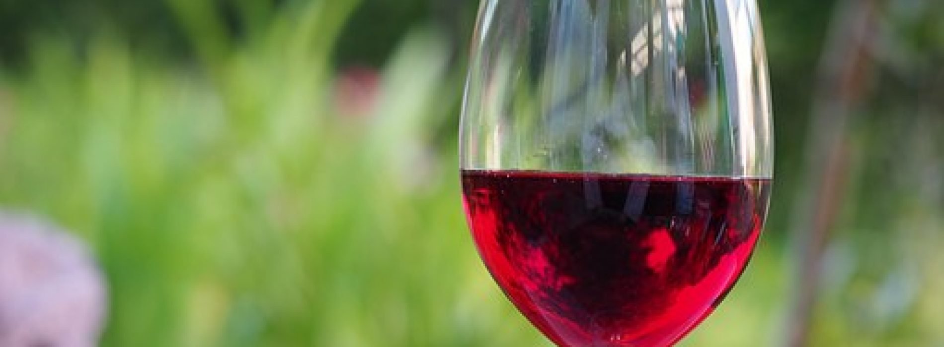 CONFAGRI e FENADEGAS debatem “O Sector do Vinho no Pós-Covid”