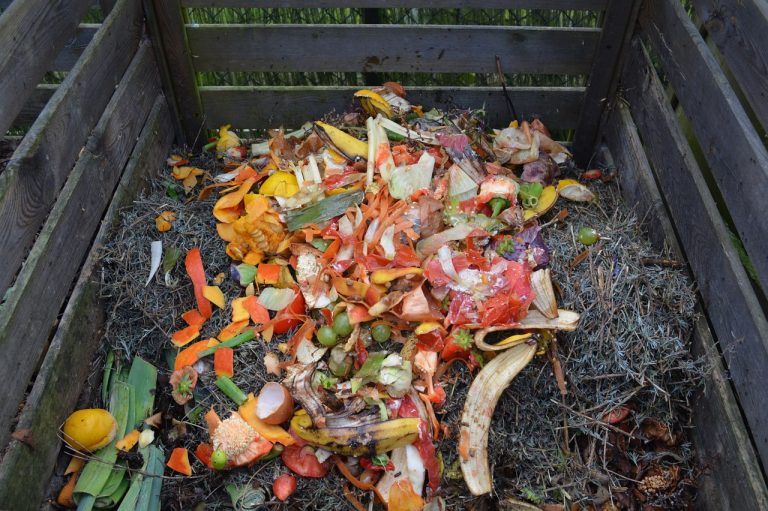 Será que sabia isto sobre a compostagem? Confira