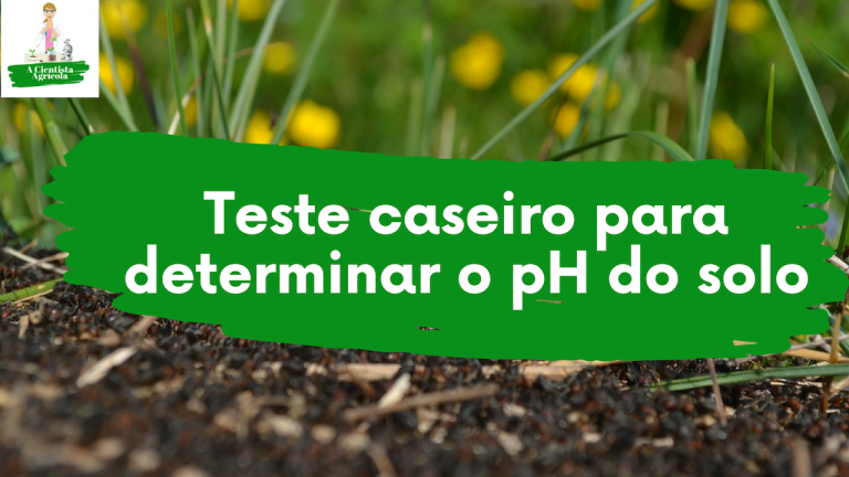 VÍDEO DA SEMANA: Aprenda a fazer um teste caseiro para determinar o pH do seu solo