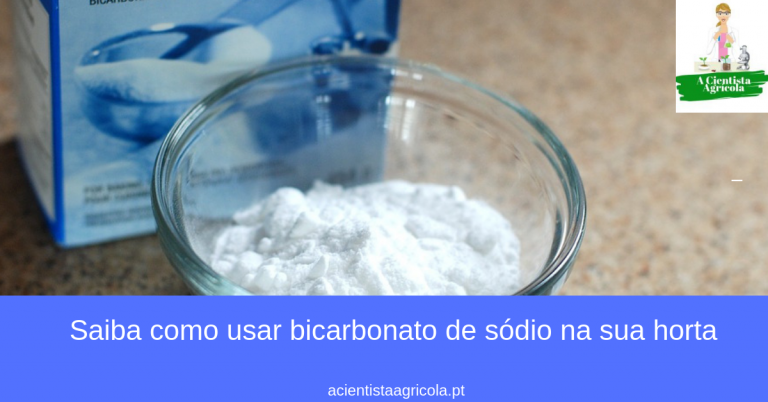 5 utilizações surpreendentes do bicarbonato de sódio na horta que você não conhecia