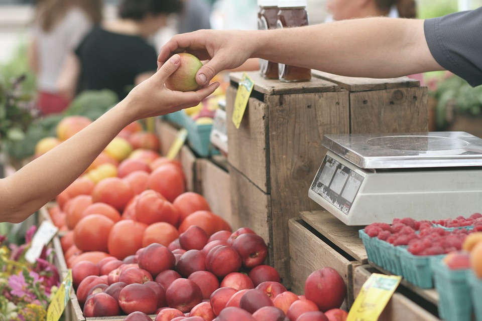 ideias de negócio na agricultura