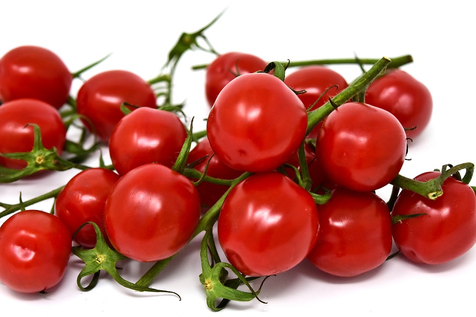 tomate-cereja como plantar e cultivar
