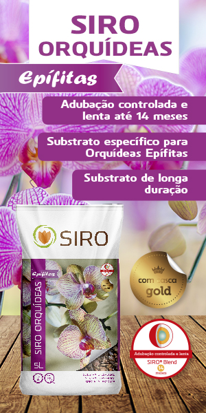 substrato para orquídeas