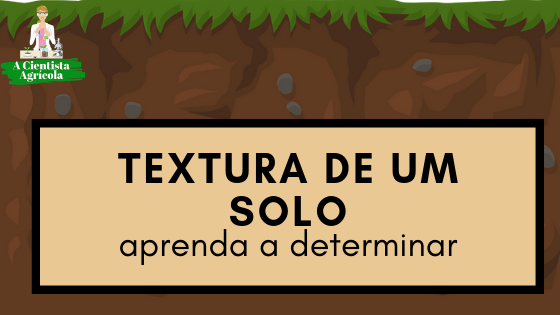 Aprenda a classificar um solo quanto à sua textura