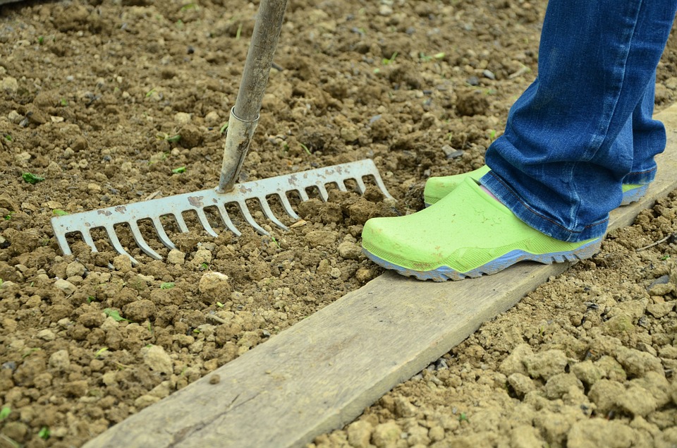 Como resolver os problemas de má drenagem do solo da sua horta/pomar