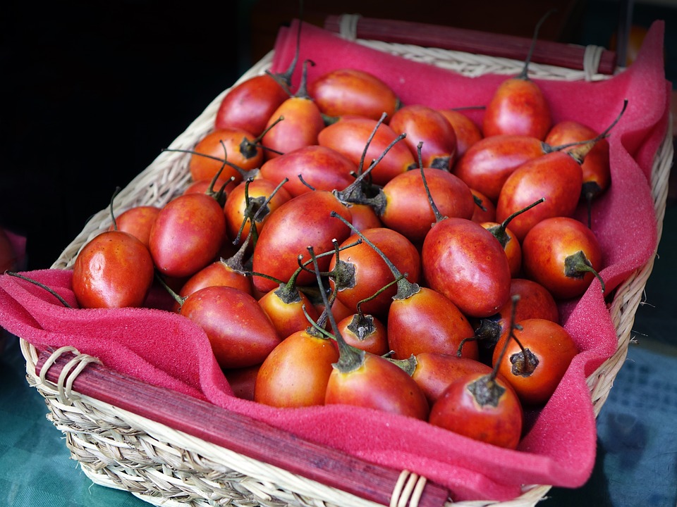 TAMARILHO/TOMATE INGLÊS –