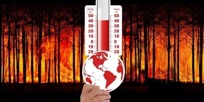 Risco de Incêndio florestal. Governo declara Situação de Alerta de 4 a 8 de Setembro