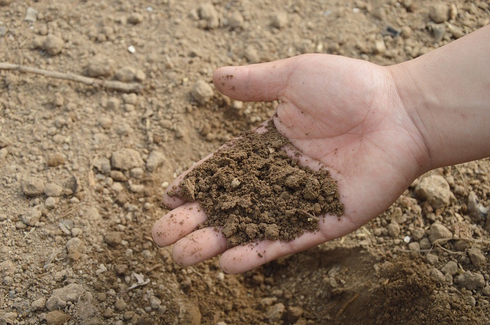 Conheça as principais dicas para fertilizar o seu terreno corretamente