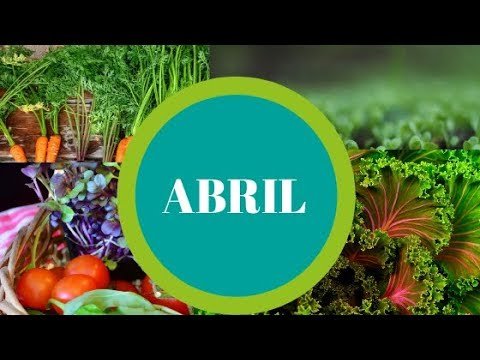 Tarefas agrícolas em Abril: Saiba o que fazer no campo, horta e jardim