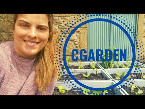 CGARDEN: a solução para ter uma horta produtiva em pouco espaço