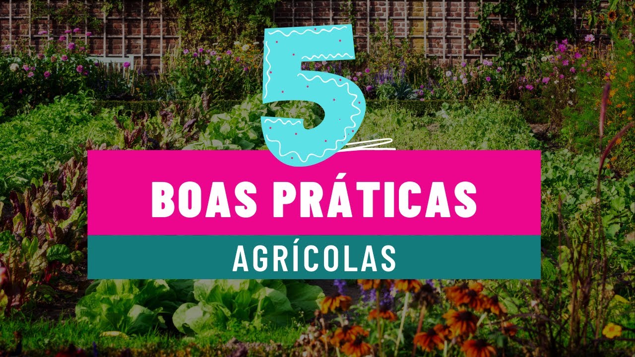 Conheça 5 exemplos de boas práticas agrícolas que deve adotar!