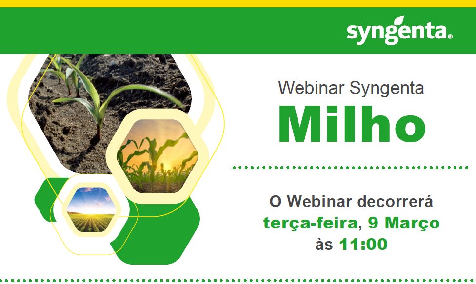 Syngenta apresenta soluções inovadoras para controlo de infestantes na cultura do milho em webinar a 9 de Março