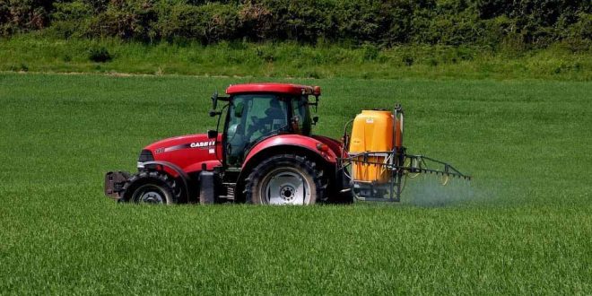 Utilização de pesticidas químicos diminui 1% em 2020. UE vai financiar alternativas biológicas