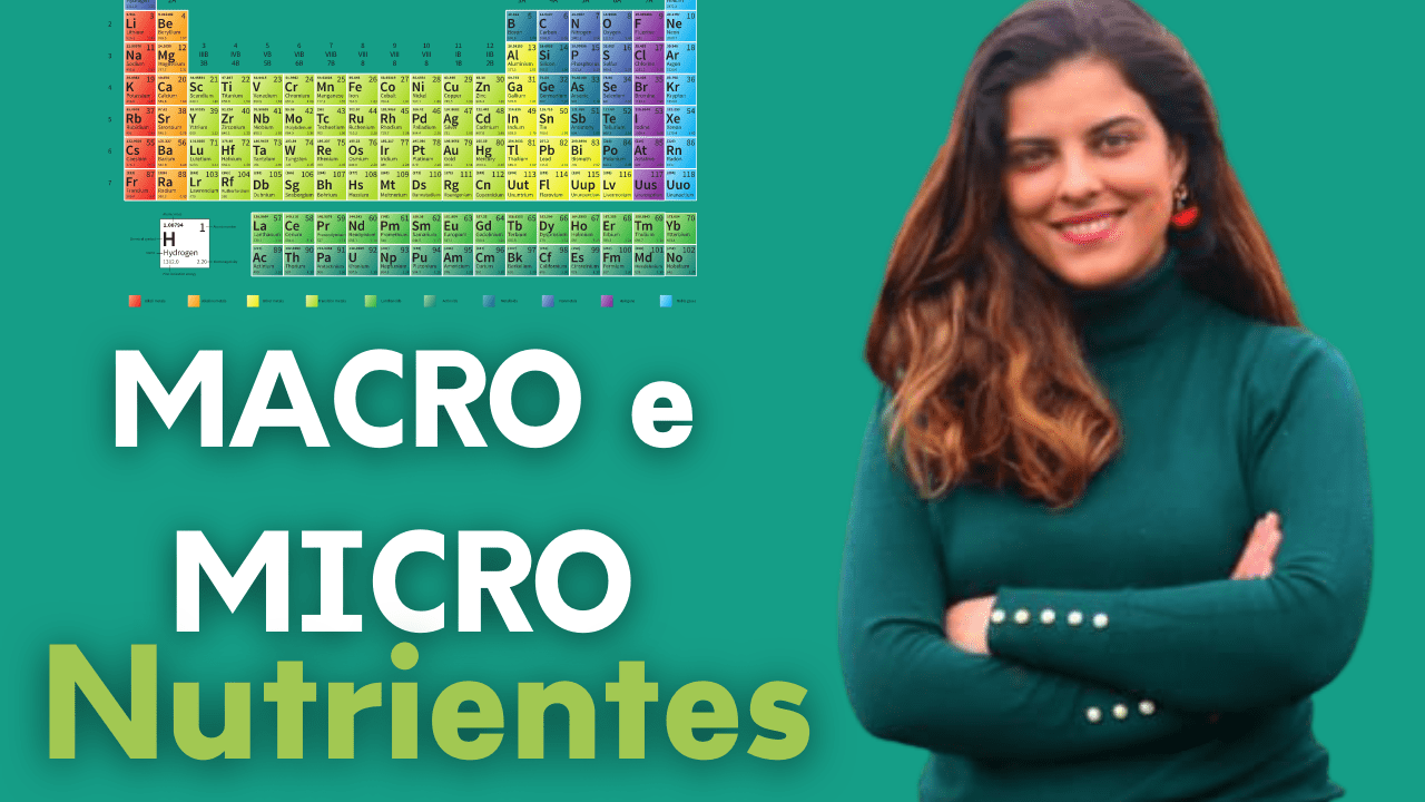 Saiba o que são macro e micro nutrientes e para que servem