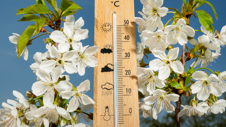Saiba como proteger as culturas das altas temperaturas com soluções práticas