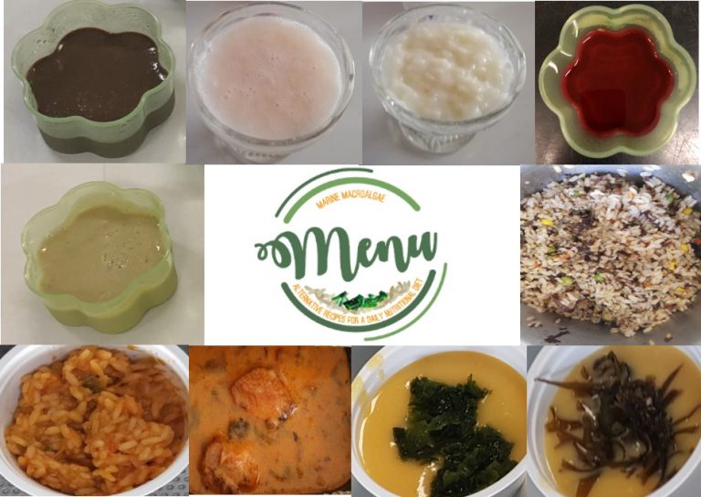 MENU, o projeto que oferece refeições nutritivas e de fácil confeção à base de macroalgas da costa portuguesa