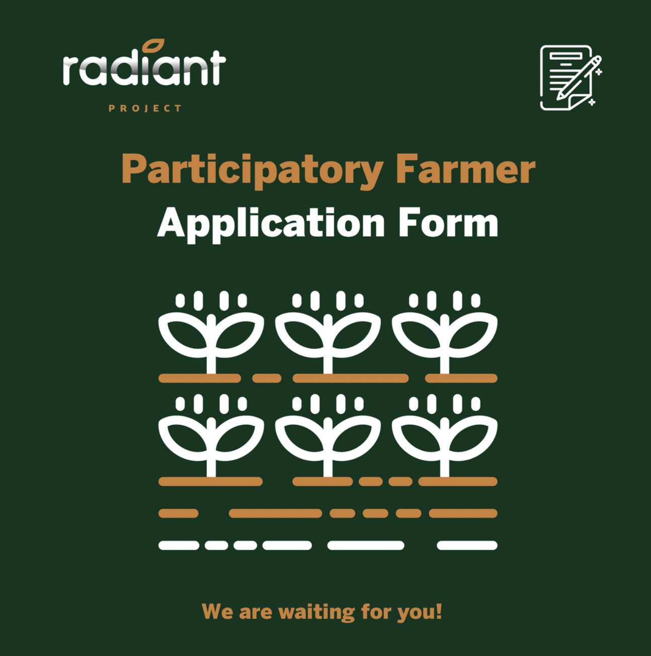 Quer cultivar uma variedade tradicional?  O projeto europeu RADIANT vai apoiar 15 agricultores