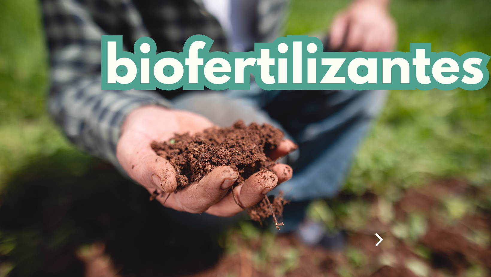 Saiba como transformar o seu solo e aumentar a  sua colheita com biofertilizantes