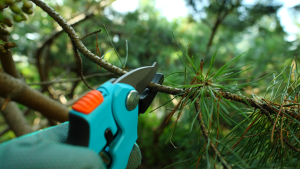 máquinas de jardinagem tesoura de poda